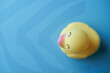 © seanzheng - yellow rubber duck on blue background