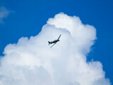 Fototapeta  - czarno białe zdjęcie starego jednopłatowca na tle chmur podczas pokazu lotniczego