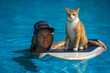 Woman and a cat are in swimming pool