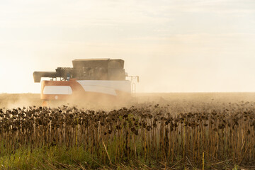 Aufkleber - Combine harvester harvesting ripe sunflower at sunset