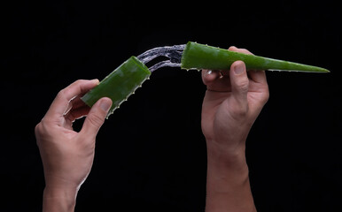 Sticker - Gel from the leaf cut of Aloe Vera on a black background.