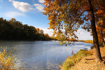 Wall Mural - beautiful autumn landscape