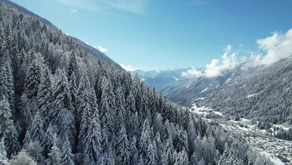 Wall Mural - montagna inverno neve drone 