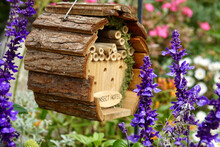 Artsy Insect Hotel In The Lavender Garden