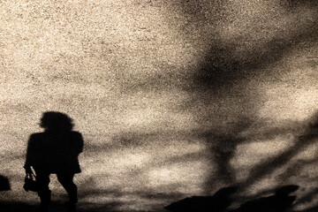 Wall Mural - Silhouette shadow of a young woman walking