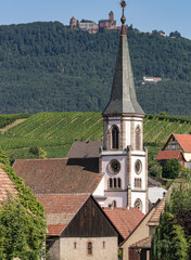 Canvas Print - Route des Vins village