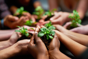 Poster - Conserving our future. Shot of a group of people each holding a plant growing in soil.