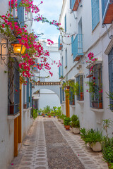 Canvas Print - whitewashed streets of the jewish quarter of the spanish city cordoba.