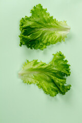 Flat lay top view Lettuce fresh. Salad leaf. Lettuce isolated on mint background.