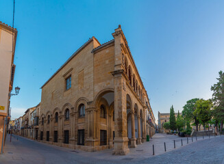 Wall Mural - Street in the old town of Spanish city Ubeda