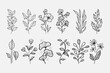 Hand drawn vector design floral elements