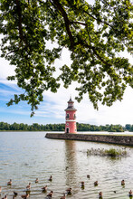 Germany, Saxony, Moritzburg, Flock Of Ducks Swimming Near Lakeshore With Lighthouse In Background