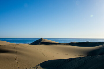 Wall Mural - The desert dunes in front of the water of the Atlantic ocean