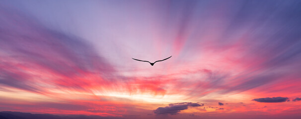 Wall Mural - Sunset Bird Flying Silhouette Inspiration Banner