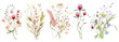 © EvgeniiasArt - Wild flowers watercolor bouquet botanical hand drawn illustration