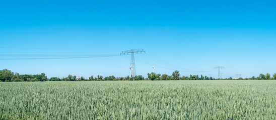 Wall Mural - Panoramic view over beautiful wheat farm landscape with wind turbines to produce green energy and high voltage power line towers in Germany, Summer, on a sunny day and blue sky.