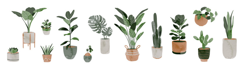 Wall Mural - Potted plants collection on white background. Set of interior house plants with baskets, flower pot, monstera, leaves and foliage. Different home indoor green decor illustration for decoration, art.