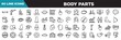 © VectorStockDesign - body parts line icons set. linear icons collection. mustache curled tip, male and female gender, drop of liquid, note on a clipboard vector illustration