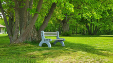 Empty Bench In The Beautiful Green Park.