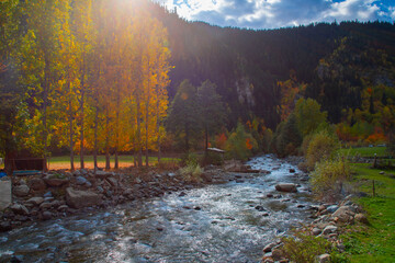 Wall Mural - Artvin Şavşat region is the region where the most beautiful autumn of Turkey is experienced.