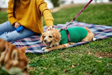 Beautiful young woman walking with shiba inu dog at park