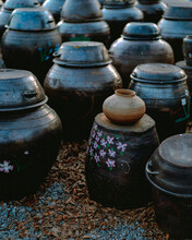 View Of Traditional Korean Fermentation Jars On Display