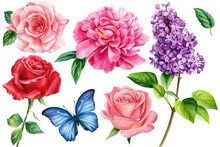 Watercolor Set Of Roses, Peonies, Lilac Flowers, Leaves And Butterflies. Botanical Illustration In Vintage Style