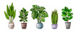 Leinwandbild Motiv Set of watercolor houseplants: monstera, sansevieria, cactus, ficus. Botanical home garden. Natural collection of plants. Hand painted urban jungle. Trendy home decor with plants 