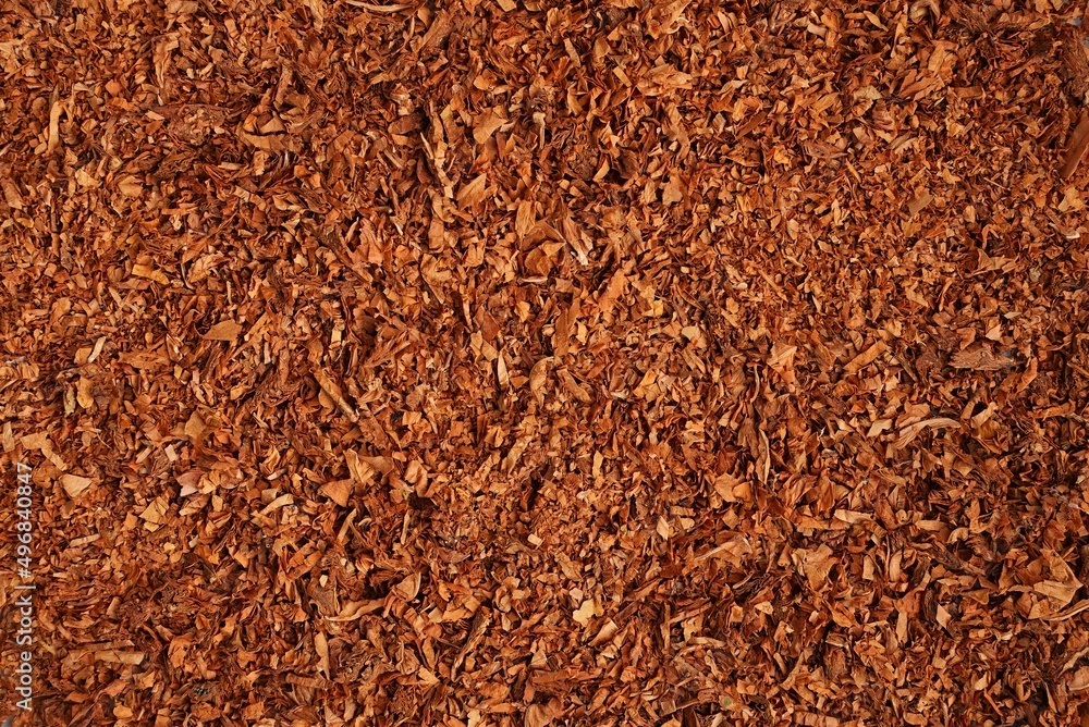 how to use chewing tobacco bits Oliver Twist | Black Chewing Tobacco how to use chewing tobacco bits Oliver Twist | Black Chewing Tobacco