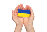 Fototapeta Tęcza - Ukrainian flag in woman hands isolated on a white background.