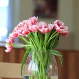 Fototapeta Tulipany - Świeże różowe tulipany w szklanym wazonie