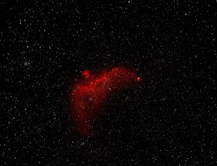 Wall Mural - a colorful nebula in outer space that resembles a seagull