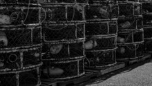 Stacked Crab Traps In Black And White