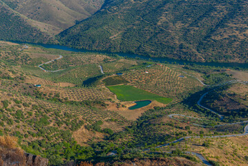 Wall Mural - Picturesque panorama of Douro valley in Portugal