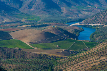 Wall Mural - Sapinha viewpoint over river Douro in Portugal