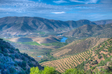 Wall Mural - Sapinha viewpoint over river Douro in Portugal