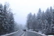 Droga do Zakopanego, Śnieg Mróz Drzewa Las