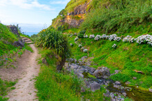 Hiking Trail Leading Towards Poco Azul At Sao Miguel, Azores, Portugal