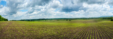 Crops Field, Agricultural Hills Panoramic Landscape With Beautiful Sky