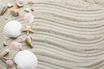 Wall Mural - Many different sea shells and starfish on beach sand, top view