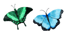 Watercolor Hand Drawn Illustration Of Two Bright Butterfly Insects. Natural Forest Butterflies In Blue Green Black Colors. Wild Wildlife Nature Ecology Concept.