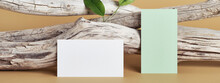 Banner With White And Green Paper Business Card Mockup. Natural Driftwood And Green Leaves