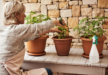 Sticker - This is definitely one of my pastimes. Cropped shot of a relaxed senior woman tending to her marijuana plants and making sure its growing properly outside at home.