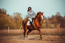 Young Woman Athlete Rides A Horse. Jumping Training In The Spring In The Field.