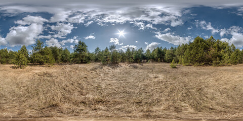 Wall Mural - full spherical 360 hdri panorama view on edge of pinery forest in equirectangular projection. VR AR content