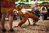 Fototapeta  - Monkeying around. A guy dressed in a monkey costume doing the limbo dance at a music festival.