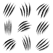 Claws Marks, Scratches Of Wild Animals, Vector Nails Rips Of Tiger, Bear Or Cat Paw Sherds On White Background. Lion, Monster Or Beast Break, Four Claws Traces, Realistic 3d Marks Texture Isolated Set