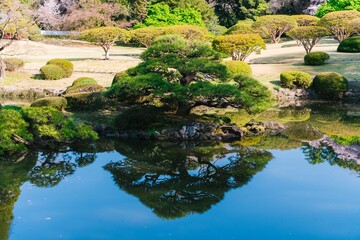 Sticker - japanese garden with pond