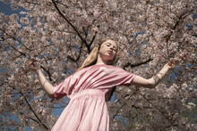 Young Woman In Pink Dress Under Blossoming White Sakura Flower Tree In Spring