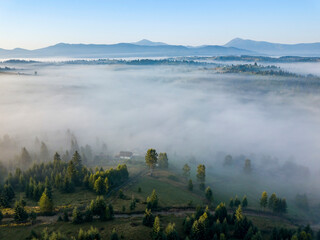  Morning mist in Ukrainian Carpathian mountains. Aerial drone view.